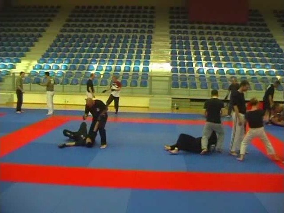 cours de krav-maga a chevigny saint sauveur avec david