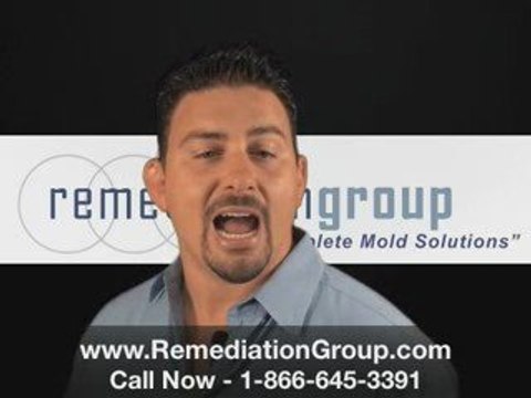 Atlanta MOLD REMEDIATION GROUP Atlanta Ga Mold Removal