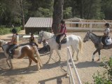 Cours de dressage le 30/05/09