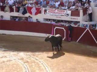 corrida vic escolar gil 2009