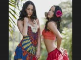 The bella twins : brie & nikki bella.