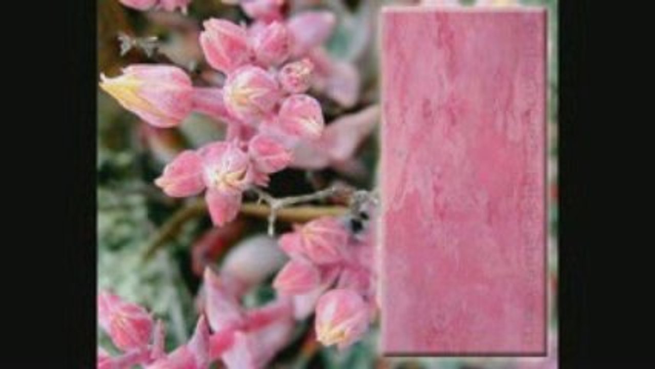 ВЕНЕЦИАНСКАЯ ШТУКАТУРКА мастер классы ДЕКОРАТИВНАЯ ФРЕСКА авторские курсы Киев    https://sites.google.com/site/artfrescodecor/  Artfresco&Decor™Киев - Творческая Мастерская Декора предлагает мастер - классы  по Декорированию и Нанесению Декоративной