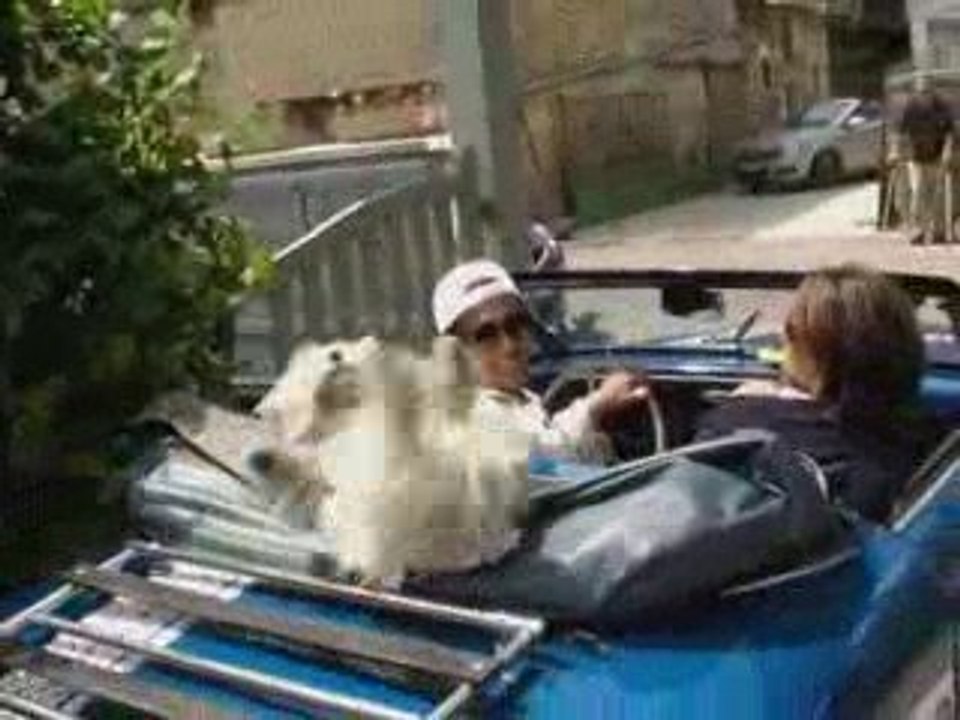 poupouille le chien fait du rallye