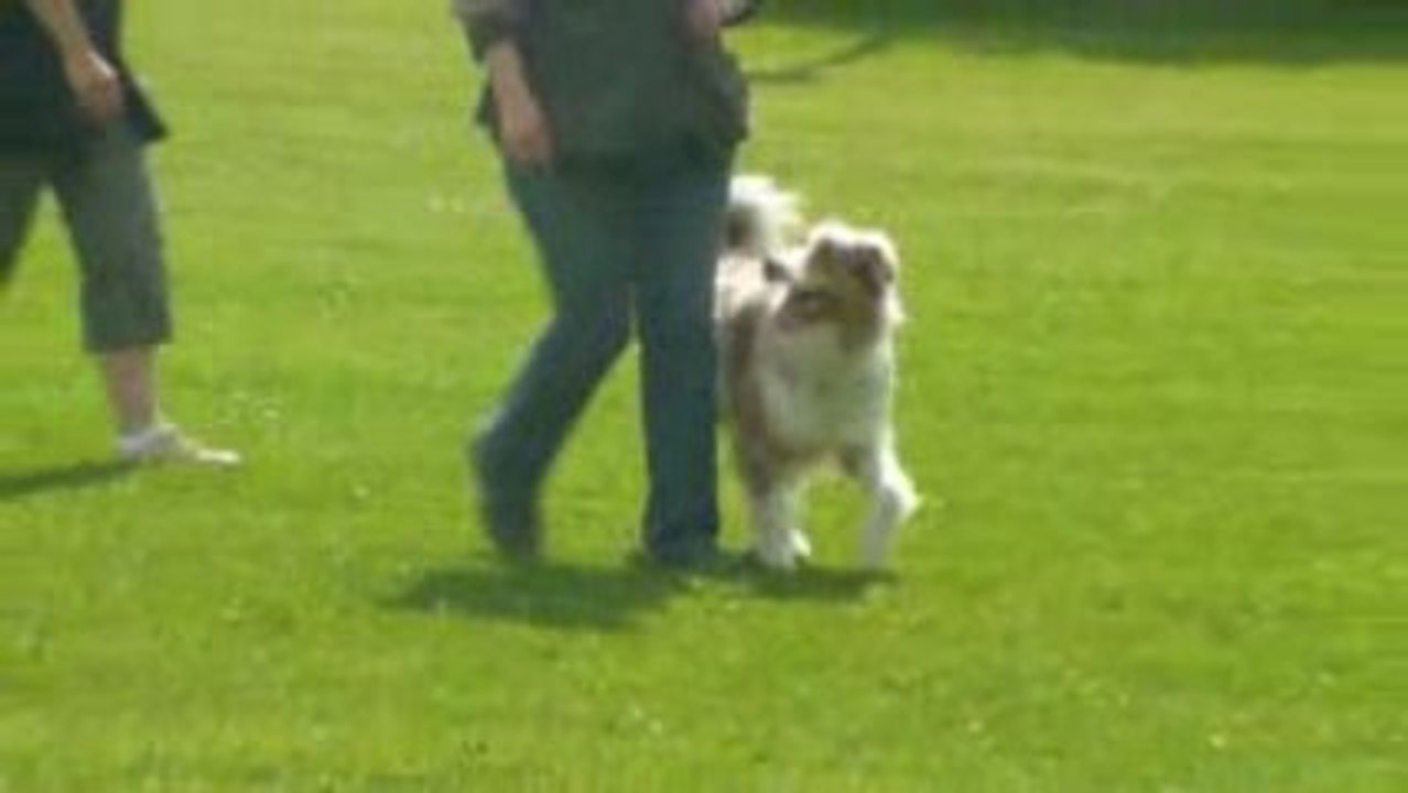 Beiheim 31/05/09 Clarkia et ses amis