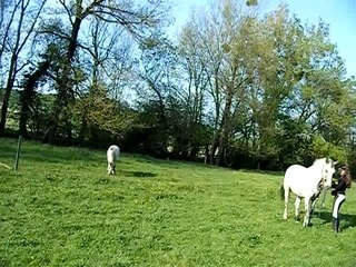 Minis extraits avec Nougat