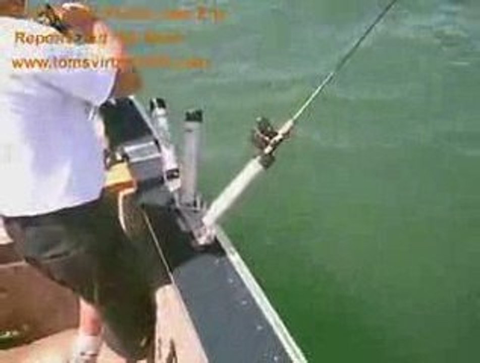 Pelee Walleye