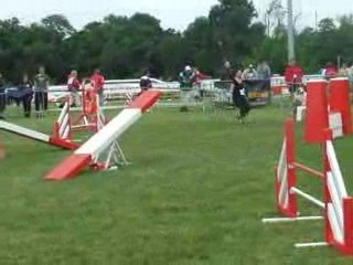Awak agility 2 trophée