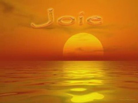 Soleil Nocturne Au P'Tit Bonheur