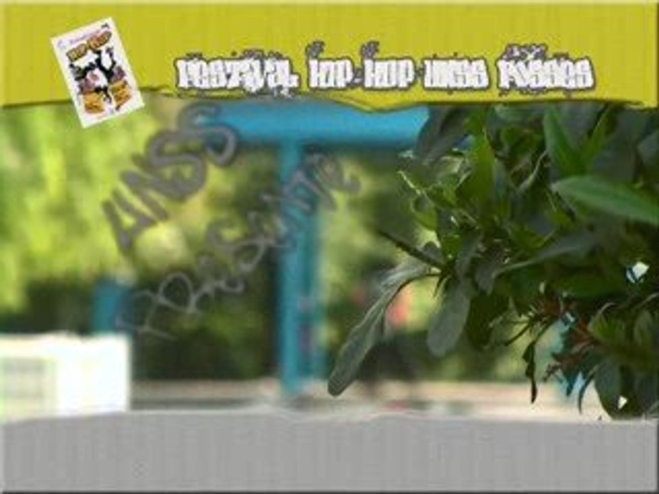 Festival Hip-Hop UNSS Fosses (95)