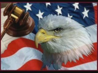 Need Help of a Bankruptcy Lawyer