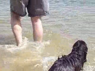 Dubaï sur la plage de l'Herbe