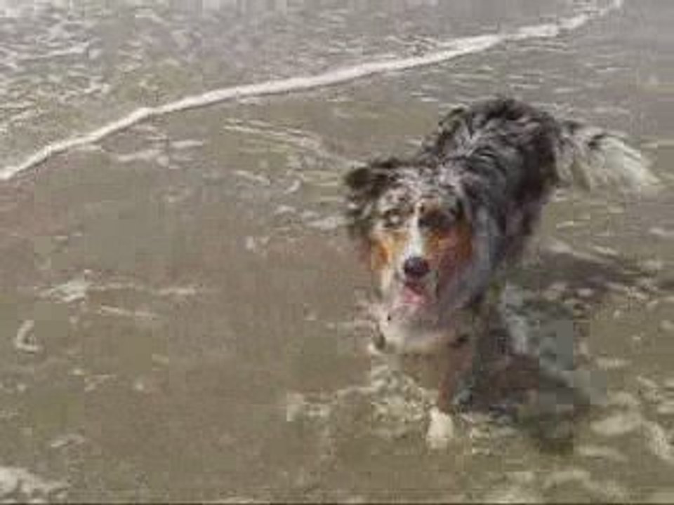 A la mer - 31 Mai 2OO9