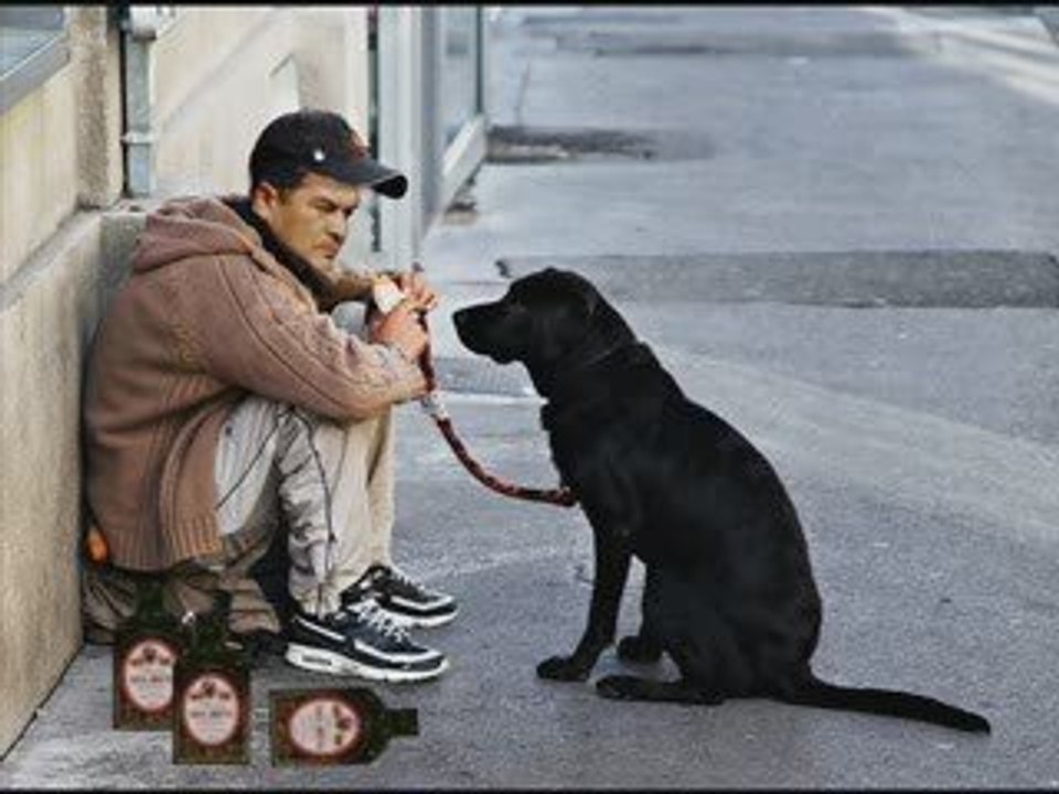 tunisie, tunisia, tounes, tunis, toufik ben brik 2