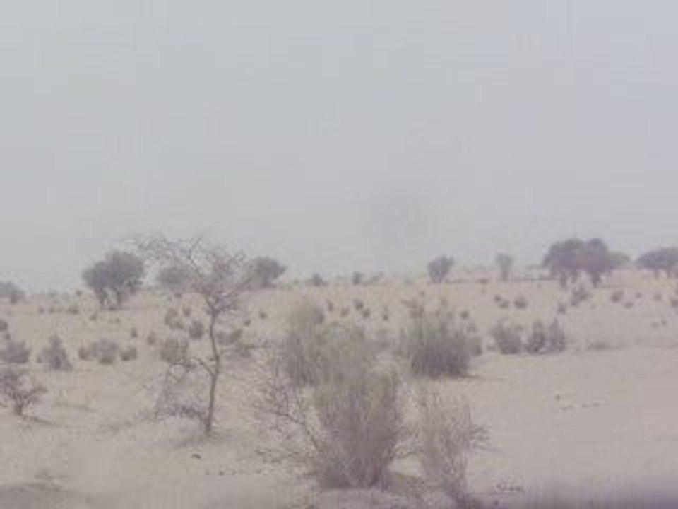 Paysage dans le Kanem 1
