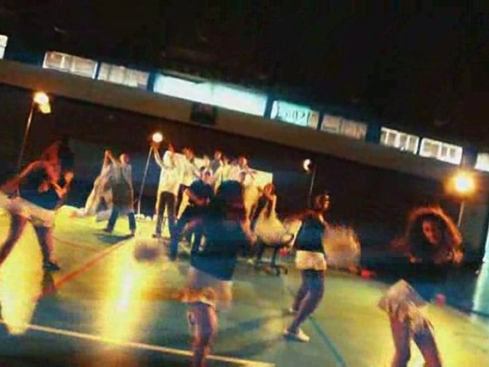 Lipdub ESSEC 2009