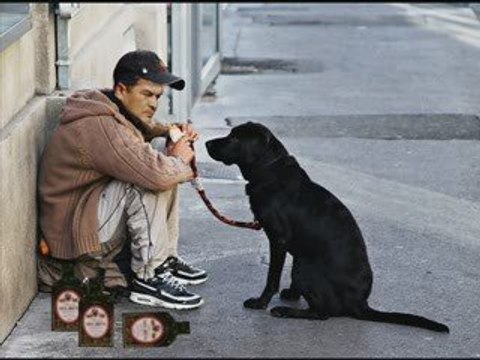 tunisie, tunisia, toufik ben brik, tounes, tunis
