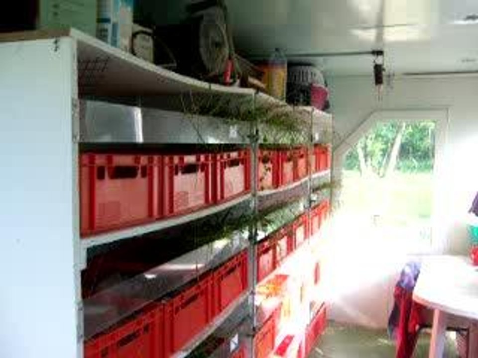 Elevageeeee
