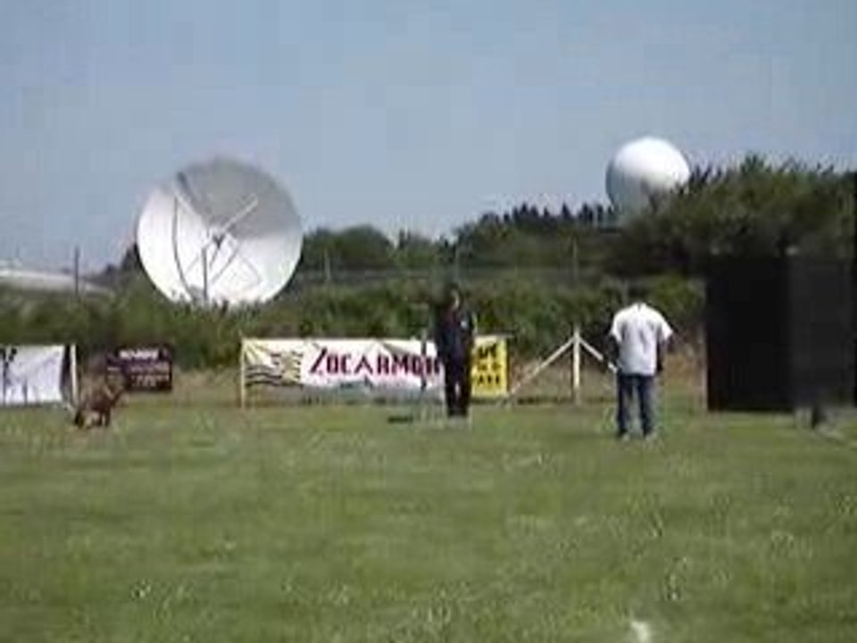 Concours de Ring le 30 et 31 Mai 2009