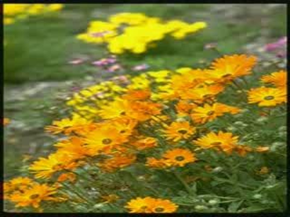 EJEMA (tsy vahaolana)