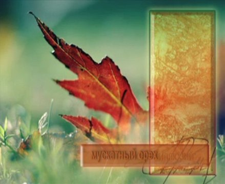 ВЕНЕЦИАНСКАЯ ШТУКАТУРКА мастер классы ДЕКОРАТИВНАЯ ФРЕСКА авторские курсы Киев sites.google.com/site/artfrescodecor/ Artfresco&Decor™Киев - Творческая Мастерская Декора предлагает мастер - классы по Декорированию и Нанесению Декоративной