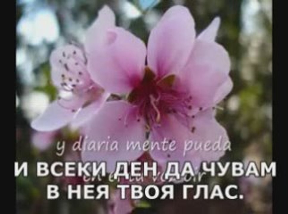 J. A. Romero - El Jardin - Bulgarian subs