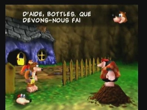 Nintendo 64 (1996) > Banjo & Kazooie