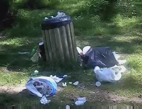 Bordères sur l'Echez bois du commandeur