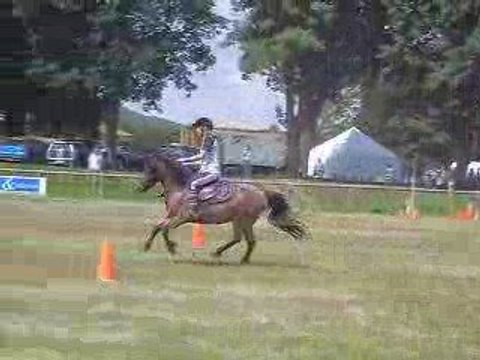 Slalom le 1 juin 2009 pony games