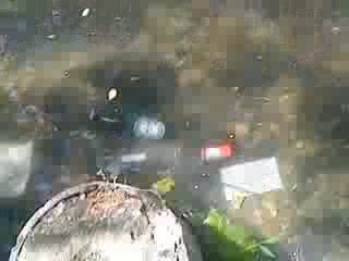 Peche camping apéro