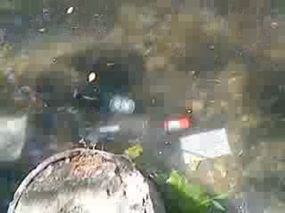 Peche camping apéro