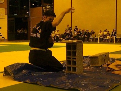 Casse - Thieu Lam Hong Quyen Perpignan - Démo Béziers (2009)