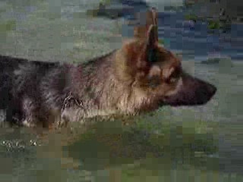 Célyo à la plage