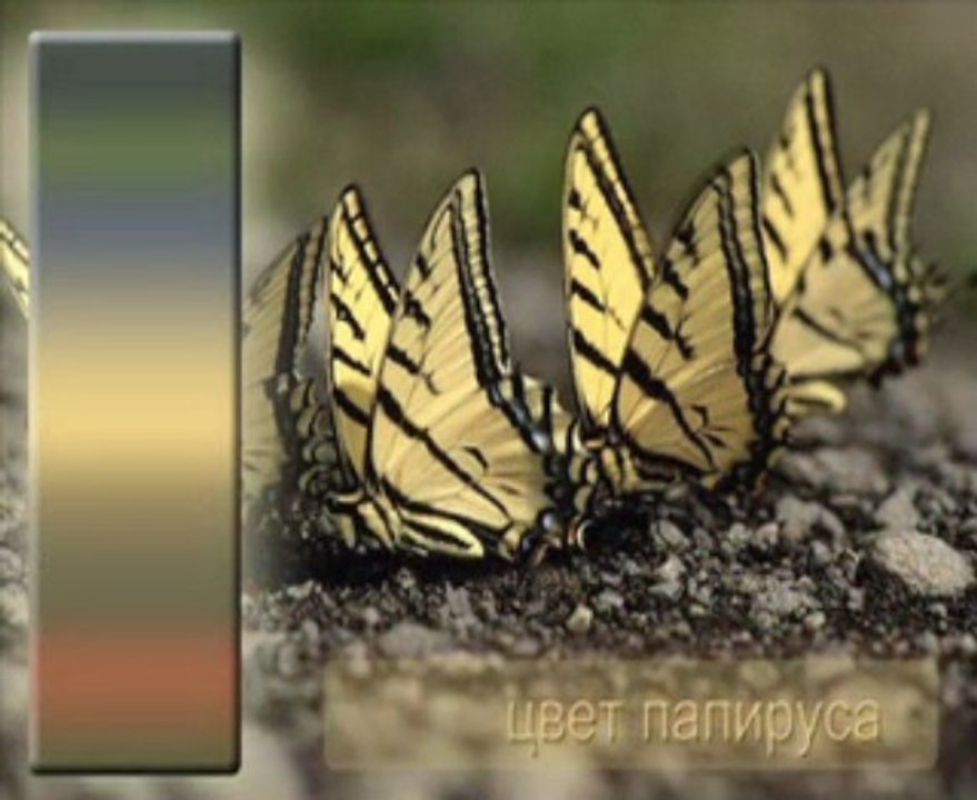 ВЕНЕЦИАНСКАЯ ШТУКАТУРКА мастер классы ДЕКОРАТИВНАЯ ФРЕСКА авторские курсы Киев    https://sites.google.com/site/artfrescodecor/  Artfresco&Decor™Киев - Творческая Мастерская Декора предлагает мастер - классы  по Декорированию и Нанесению Декоративной