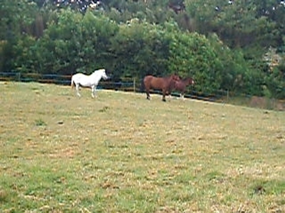 Vinnie n'a pas d'amis 2