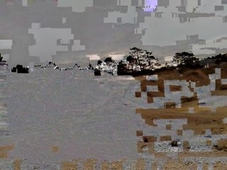 predator 500 polaris