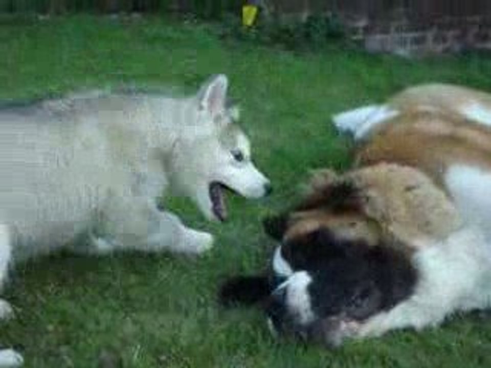 daika et eros jouent