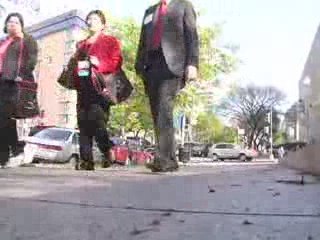 You're the Cure on the Hill 2009 - Highlights