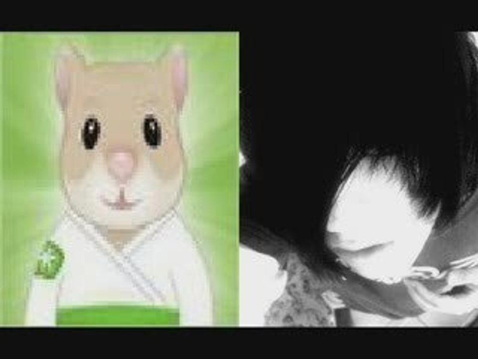 Hamster de yahoo! respuestas se confiesa con emo style pink