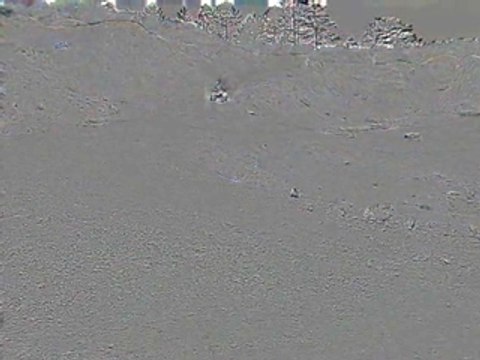 predator 500 polaris