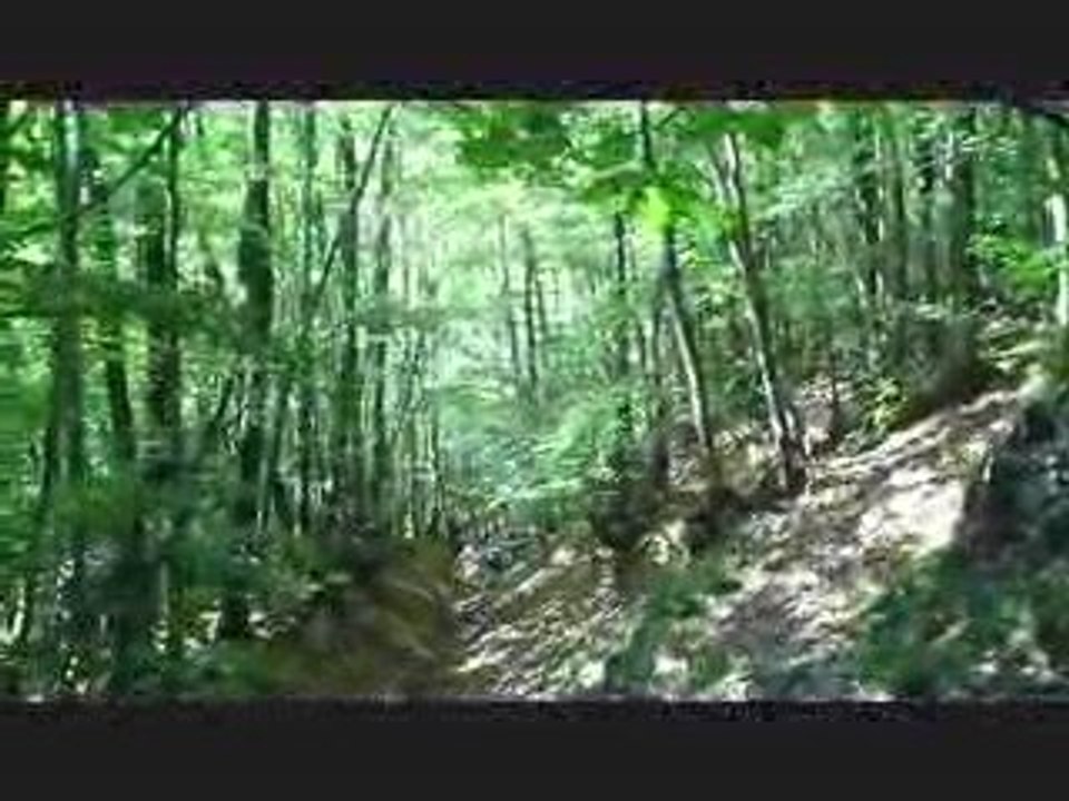 Enduro Fr Issanchou vtt