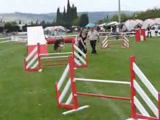 Sweety agility lézignan