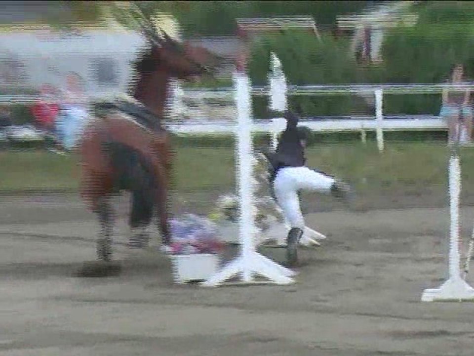 Cornelia Zwinz, Springreiten, Kottingbrunn (2008-066)