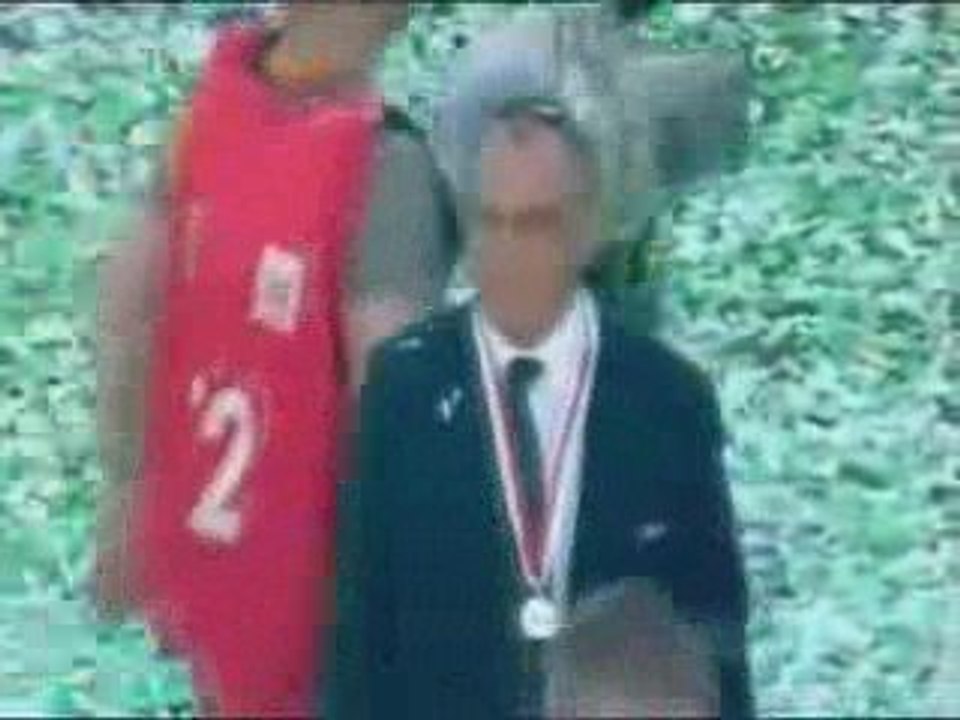 VFL Wolfsburg Deutscher Meister 2009