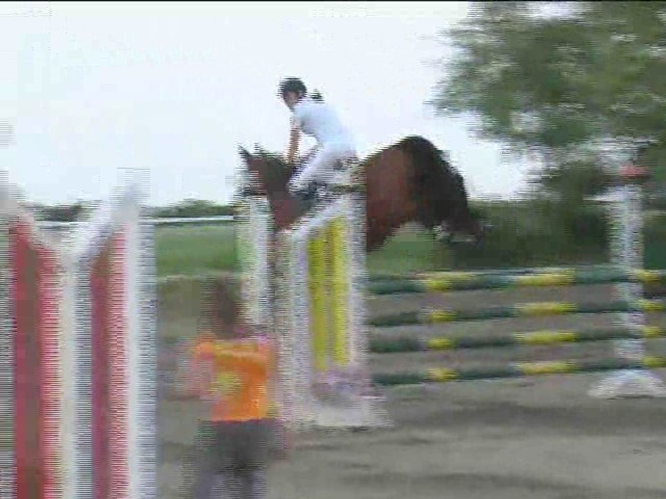 Eva Schiefer-Flohner, Springreiten, Kottingbrunn (2008-070)