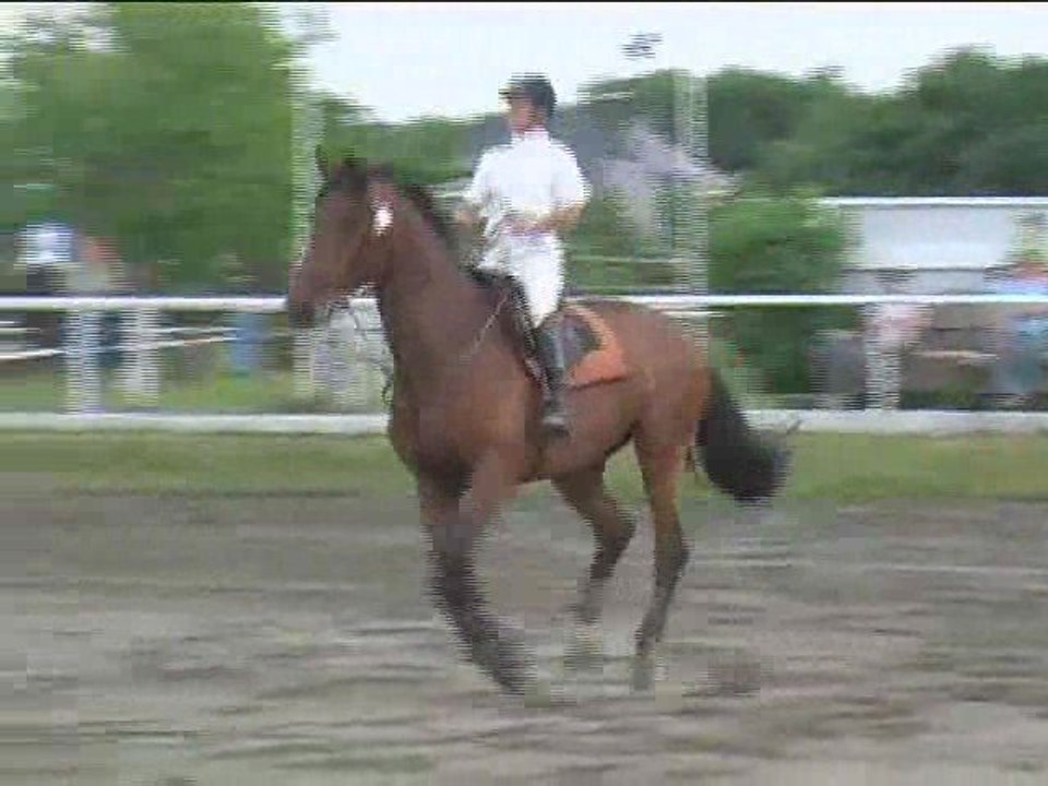 Kristina Benes, Springreiten, Kottingbrunn (2008-072)