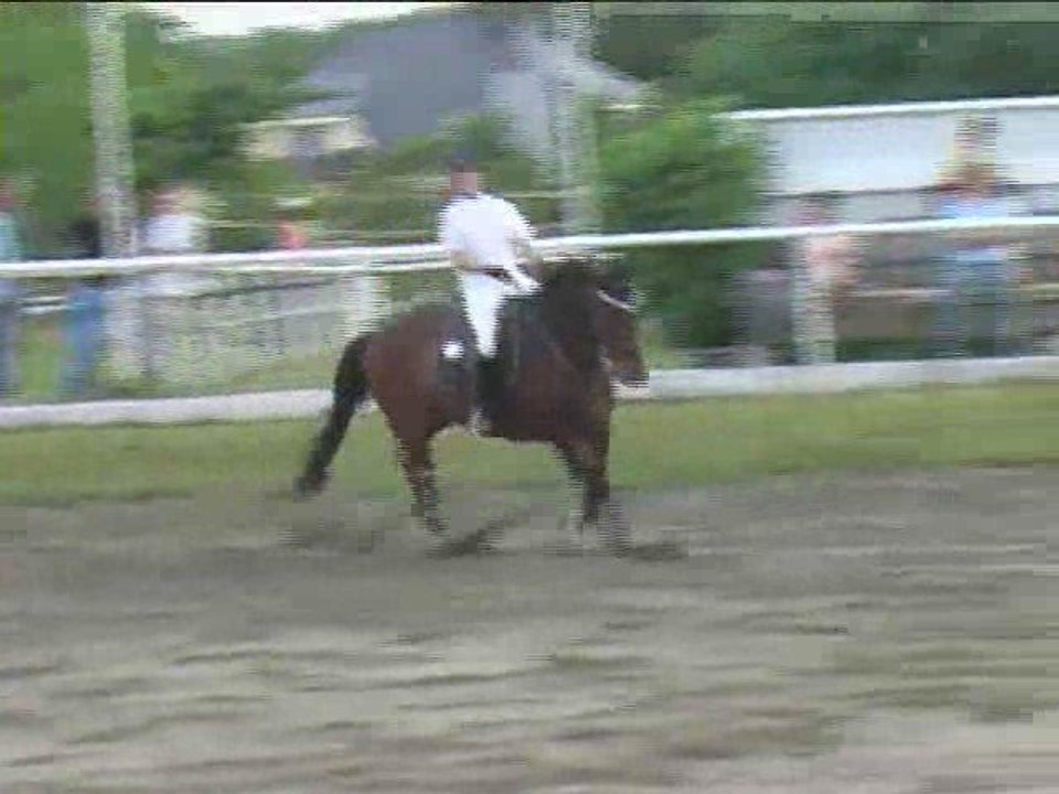 Birgit Zöchmeister, Springreiten, Kottingbrunn (2008-074)