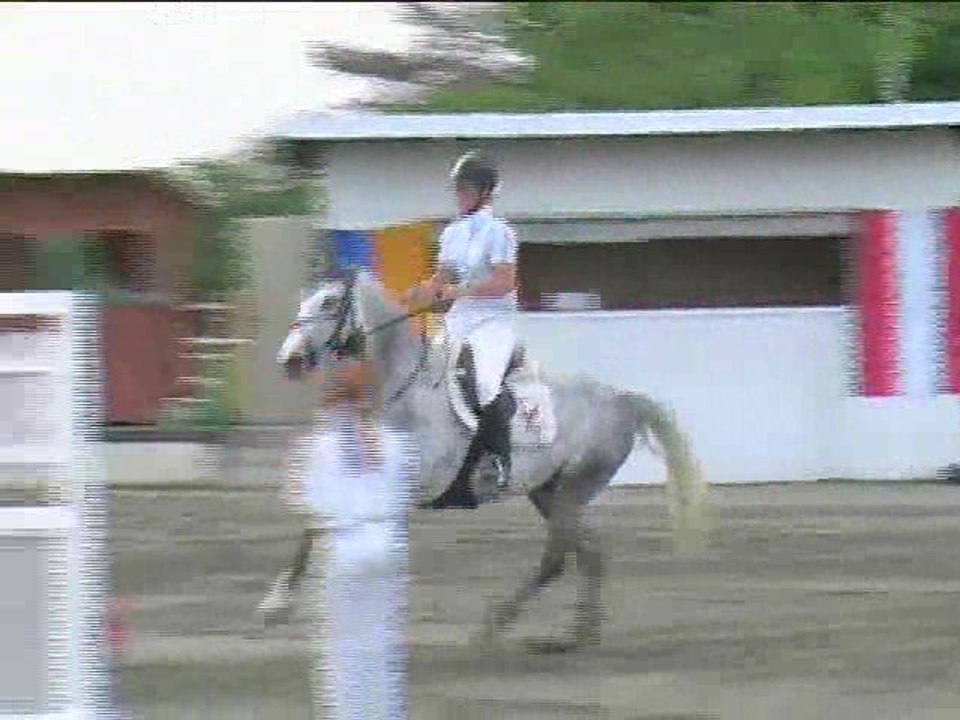 Esther Gmall, Springreiten, Kottingbrunn (2008-076)