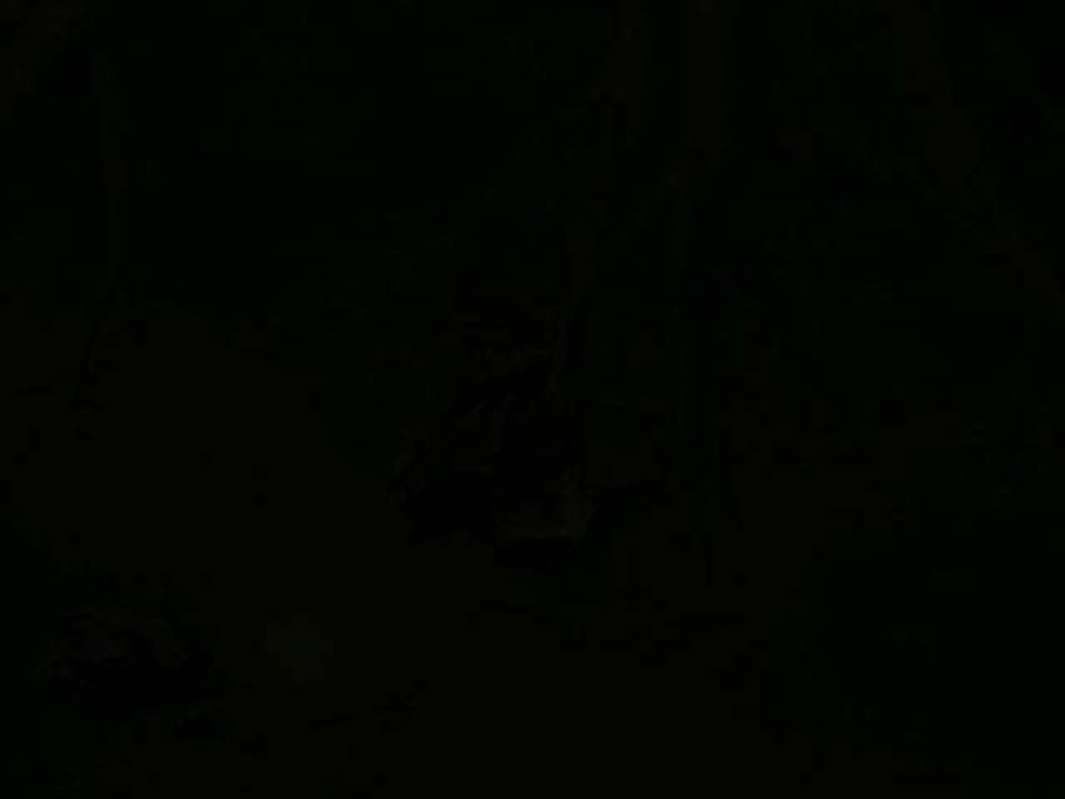 Free MMO Eudemons Online Pair Dance Trailer