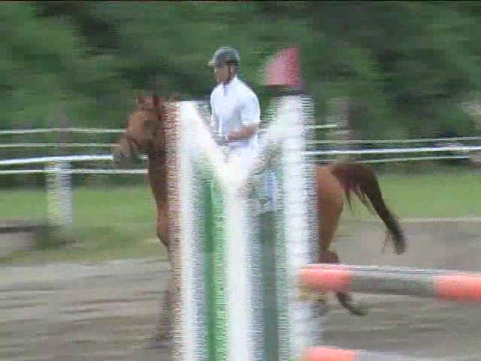 Rudolf Krippl, Springreiten, Kottingbrunn (2008-079)