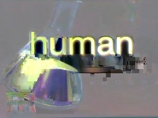 Rachael Ray features The StessRoller